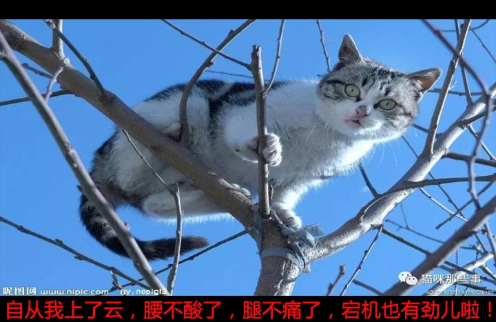 image.jpg